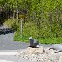 <p align=left>Un petit diiner au parc du Bic. Trop tôt pour les "vrais" phoques.